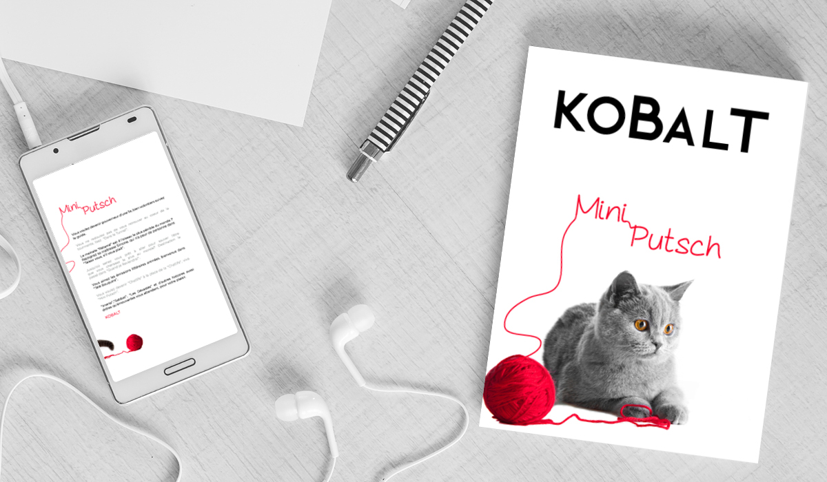 Couverture du livre Kobalt Mini Putsch et version numérique