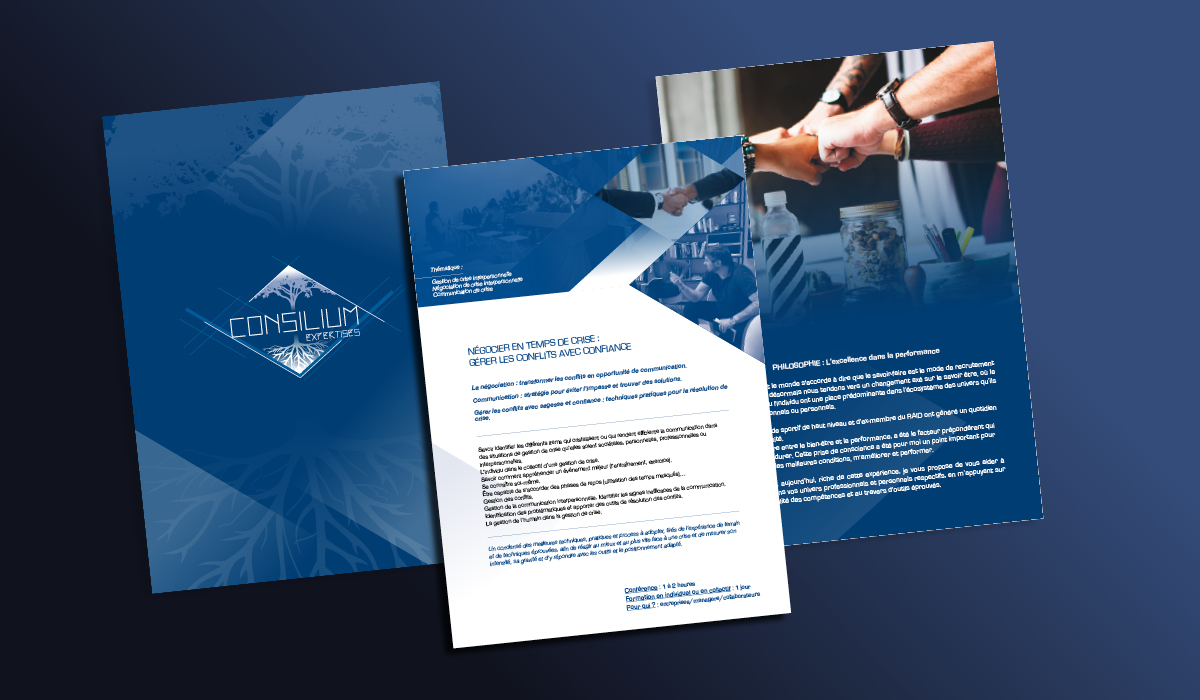 Supports de communication Consilium Expertises